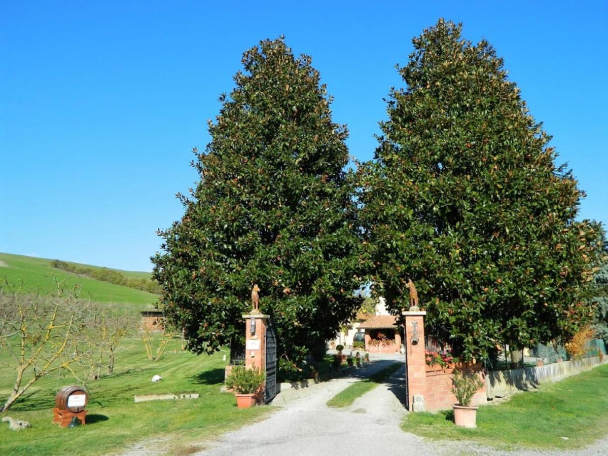 Bed and Breakfast Francigena à San Casciano dei Bagni Extérieur photo